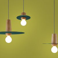 30 M dreizehngrad_DISCO_Set_Tannengrün