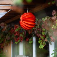 Barlooon mit Herbstlaub-Foto Doris Wittmann-web